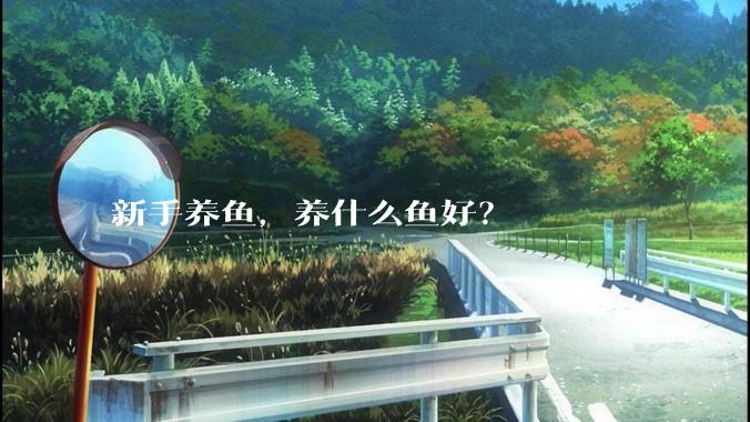 新手养鱼，养什么鱼好？