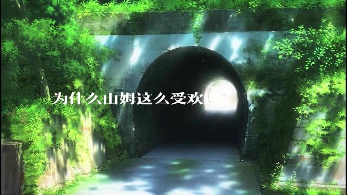为什么山姆这么受欢迎？