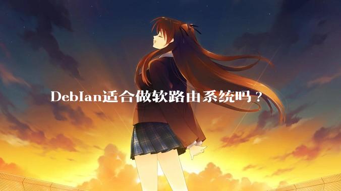 Debian适合做软路由系统吗?