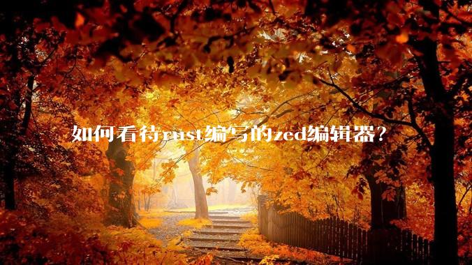 如何看待rust编写的zed编辑器？